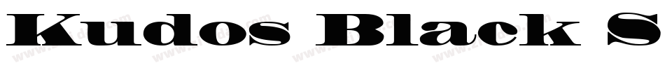 Kudos Black SSi Black字体转换